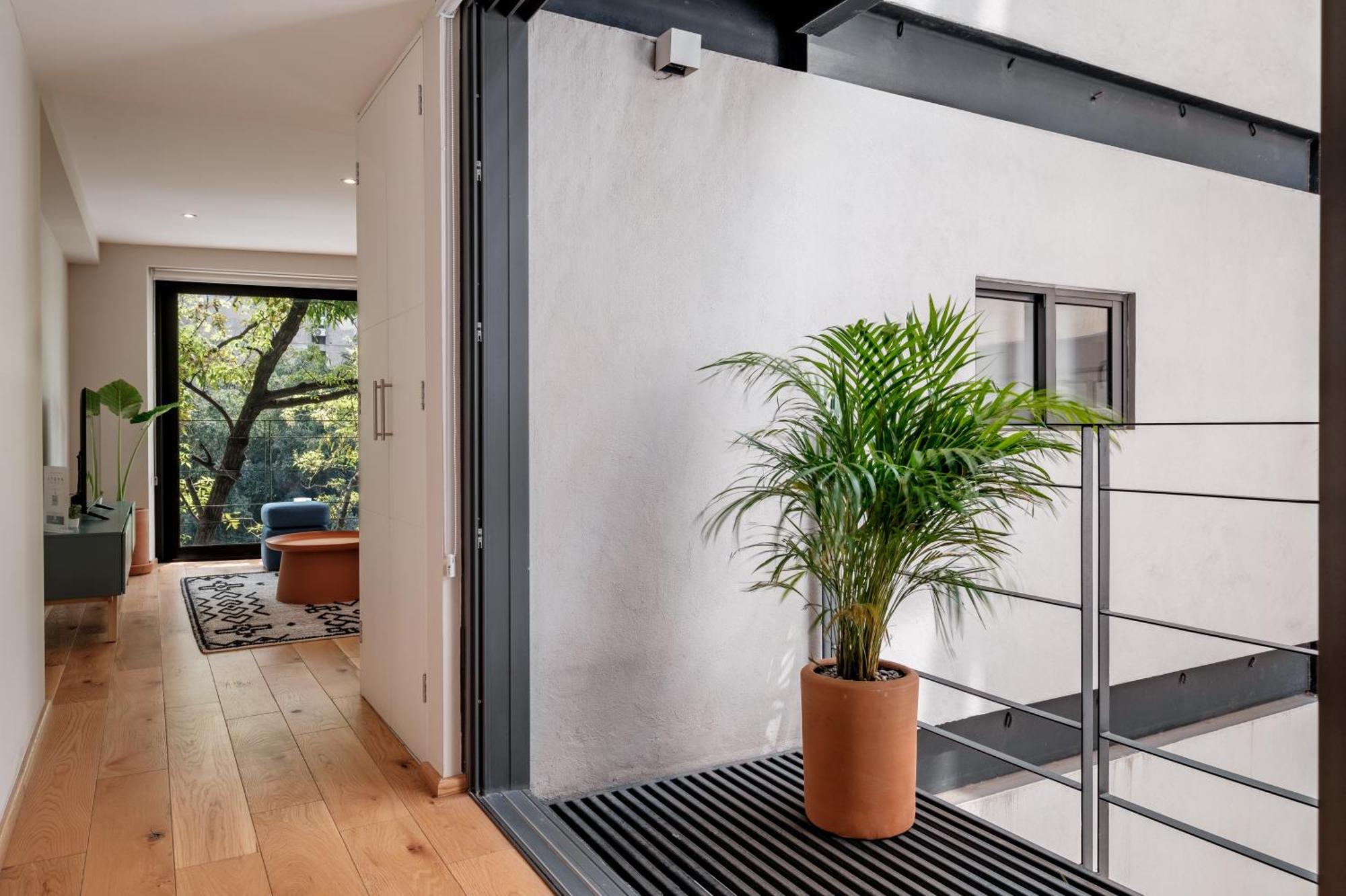 Modern Apartments La Condesa Pet Friendly 墨西哥城 外观 照片